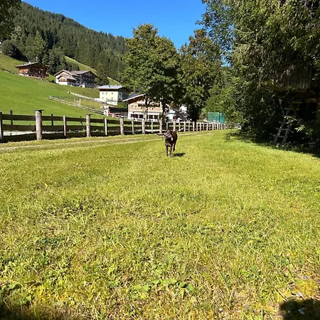 St. Georg Frühstückspension Saalbach-Hinterglemm